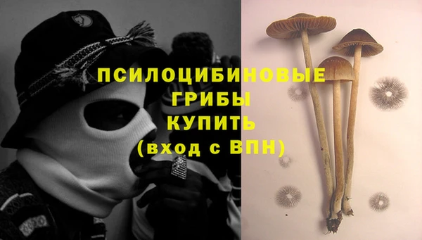 мяу мяу кристалл Алексеевка