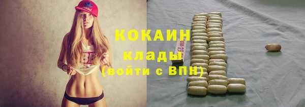 PSILOCYBIN Абаза