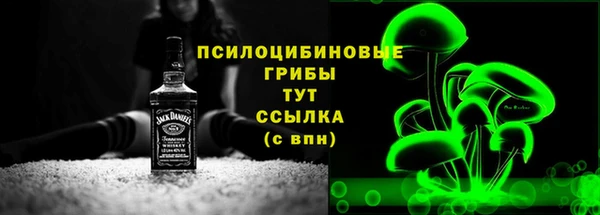 молекула духа Абинск