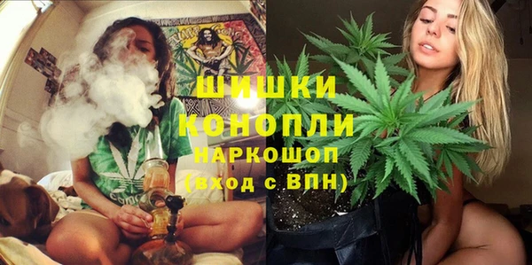 ГАЛЛЮЦИНОГЕННЫЕ ГРИБЫ Алзамай
