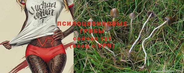 PSILOCYBIN Инта