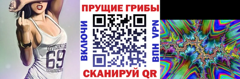 Псилоцибиновые грибы мицелий  МЕГА tor  Ковров 
